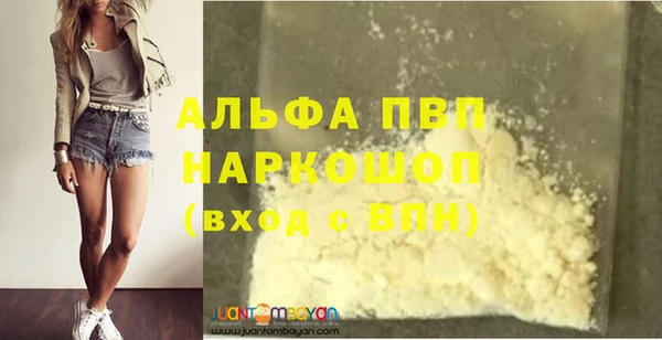 шишки Белоозёрский